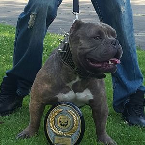 Meet your Posher, Willie